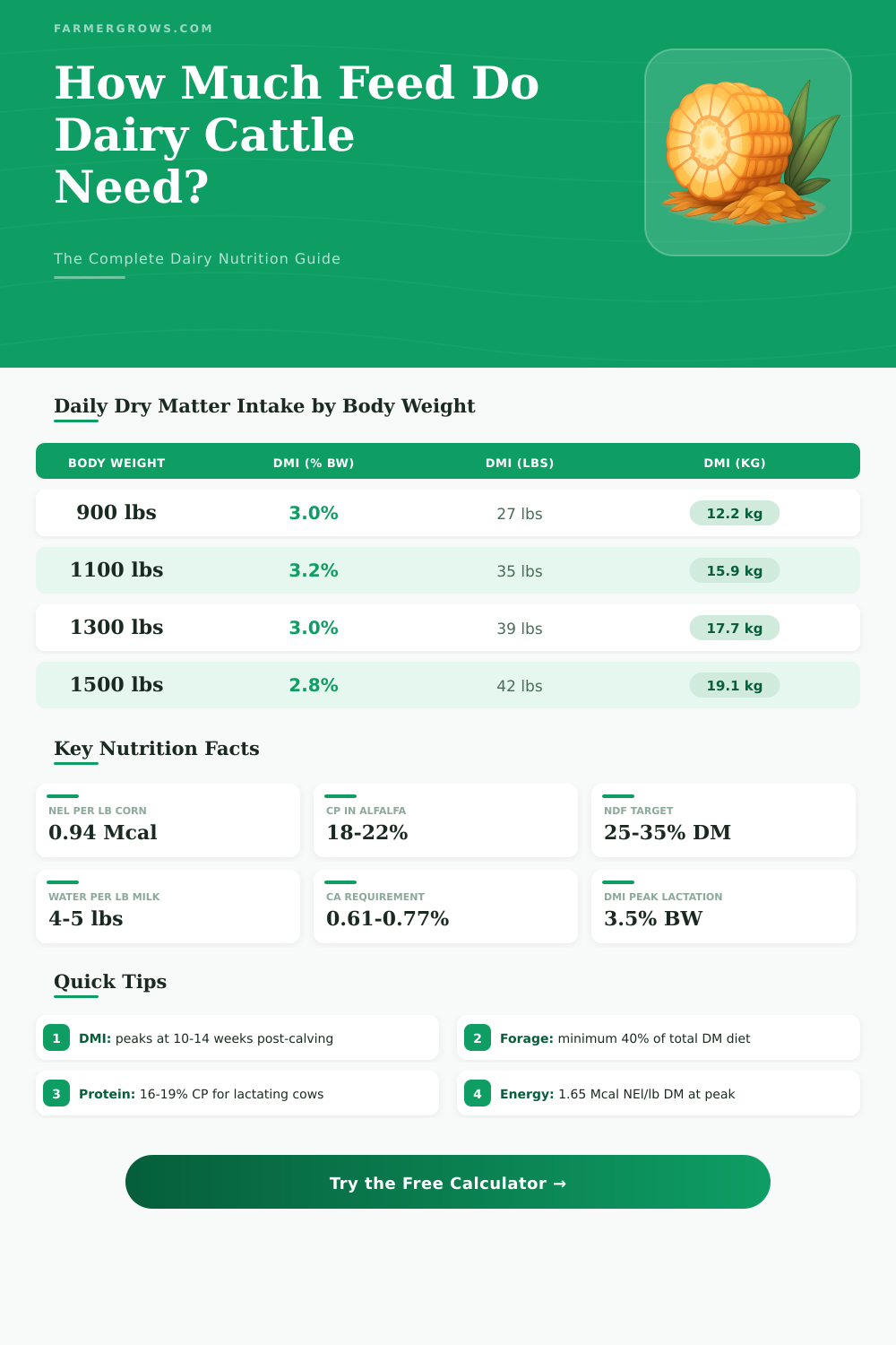 Dairy Cattle Nutrition Calculator: How Much Feed Do I Need?