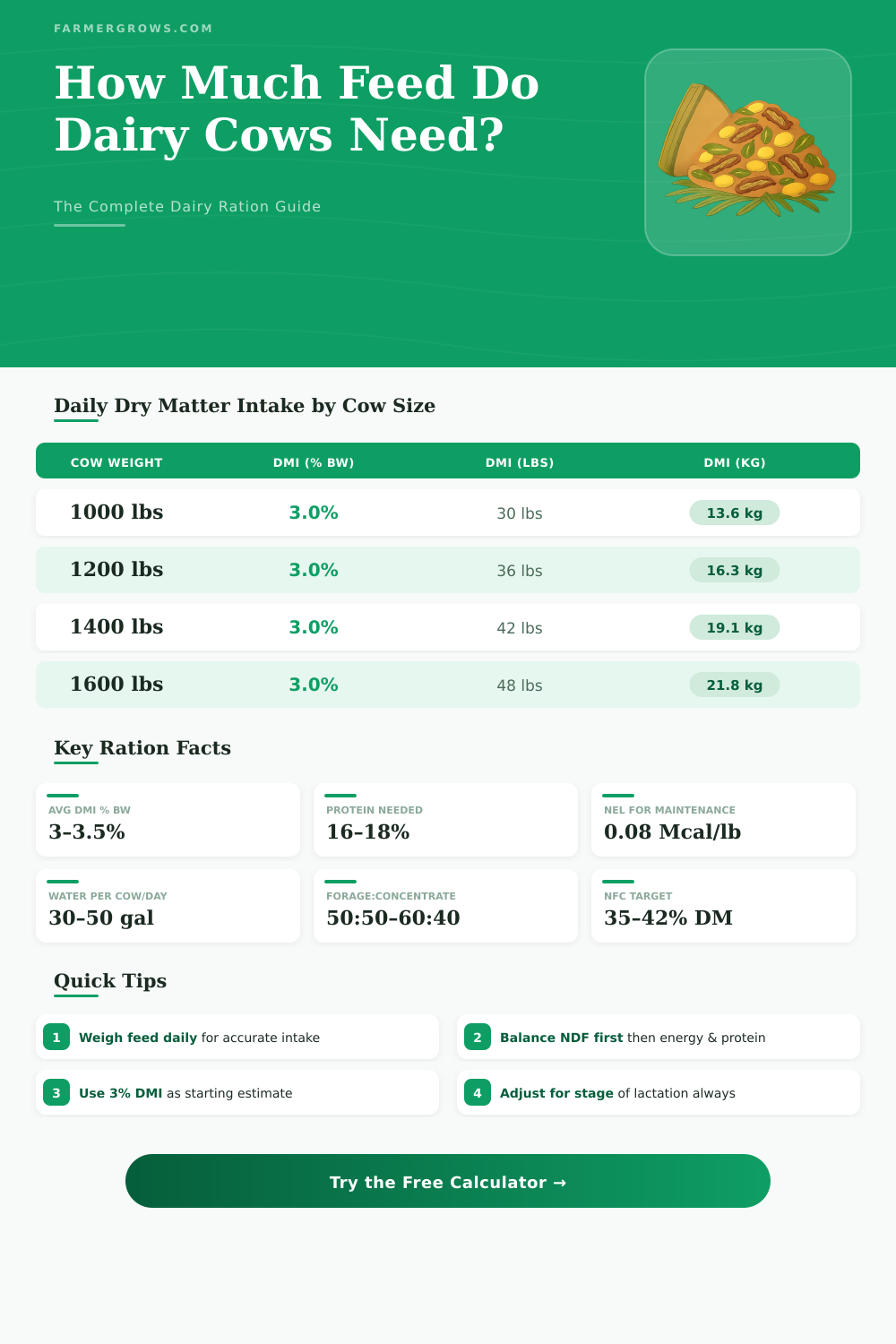Dairy Feed Ration Calculator: How Much Feed Do My Cows Need?