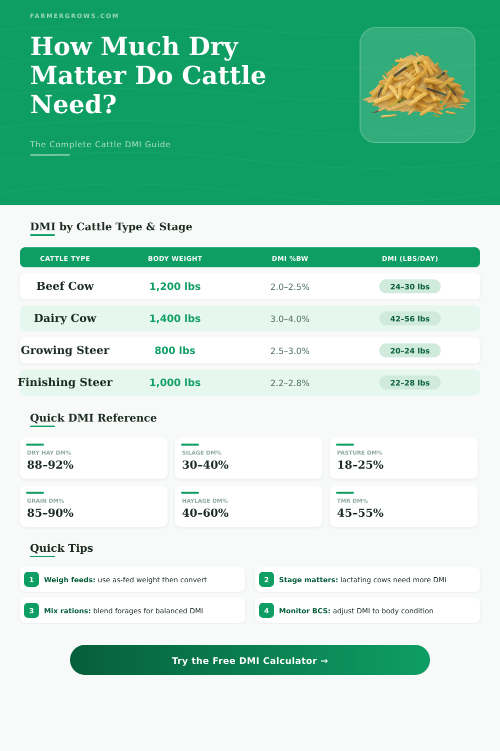 Dry Matter Calculator for Cattle – Feed Intake Made Easy