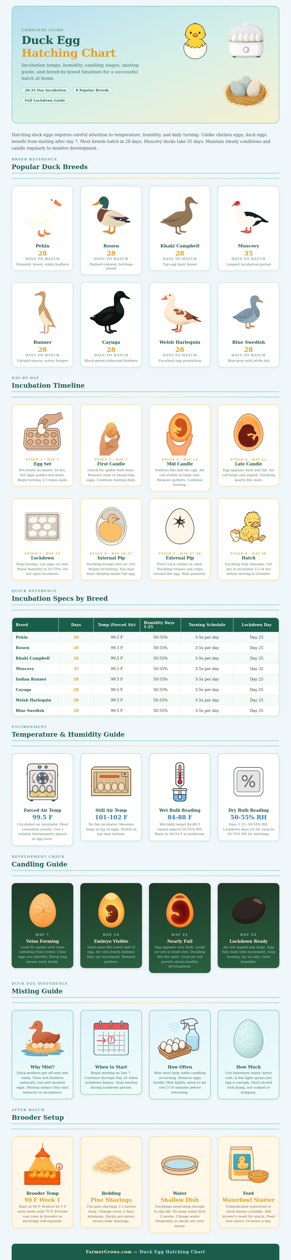 Duck Egg Hatching Chart