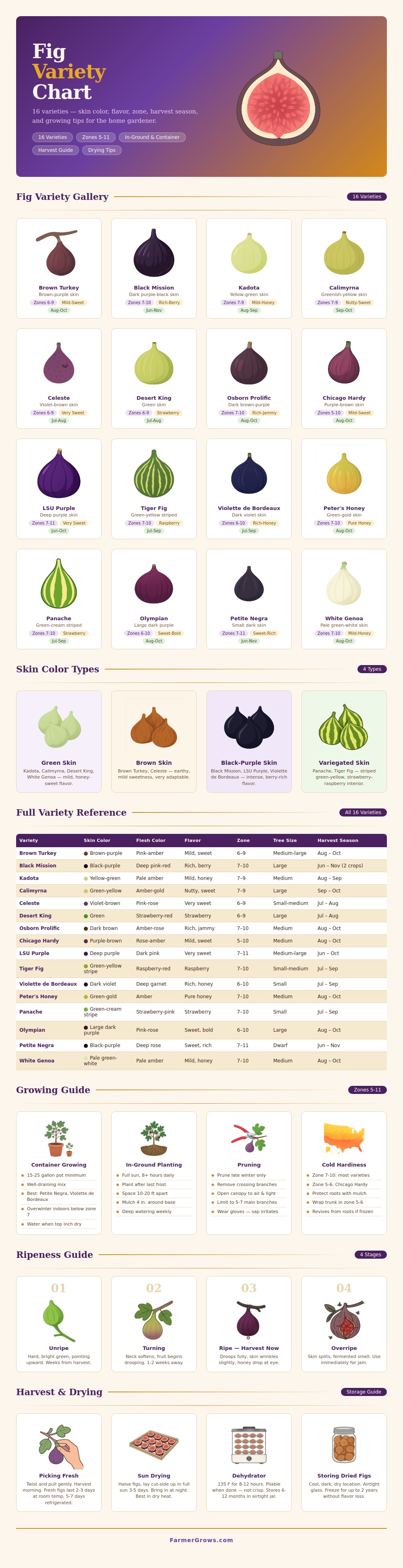 Fig Variety Chart