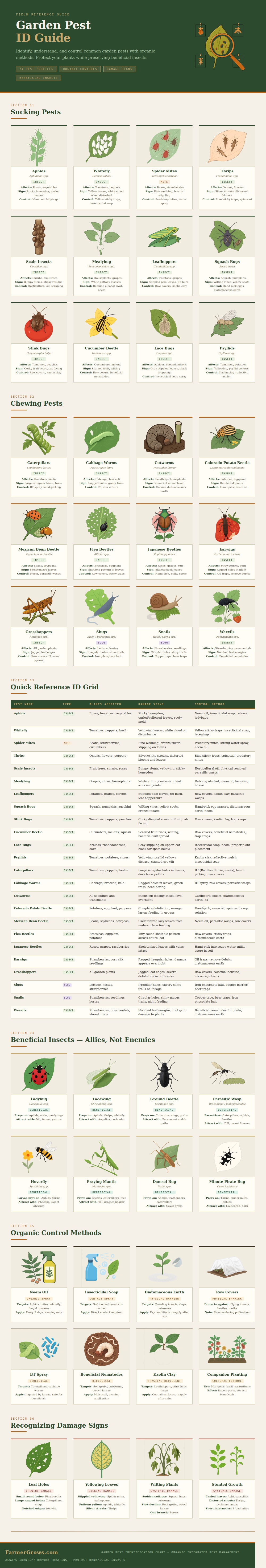 Garden Pest Identification Chart