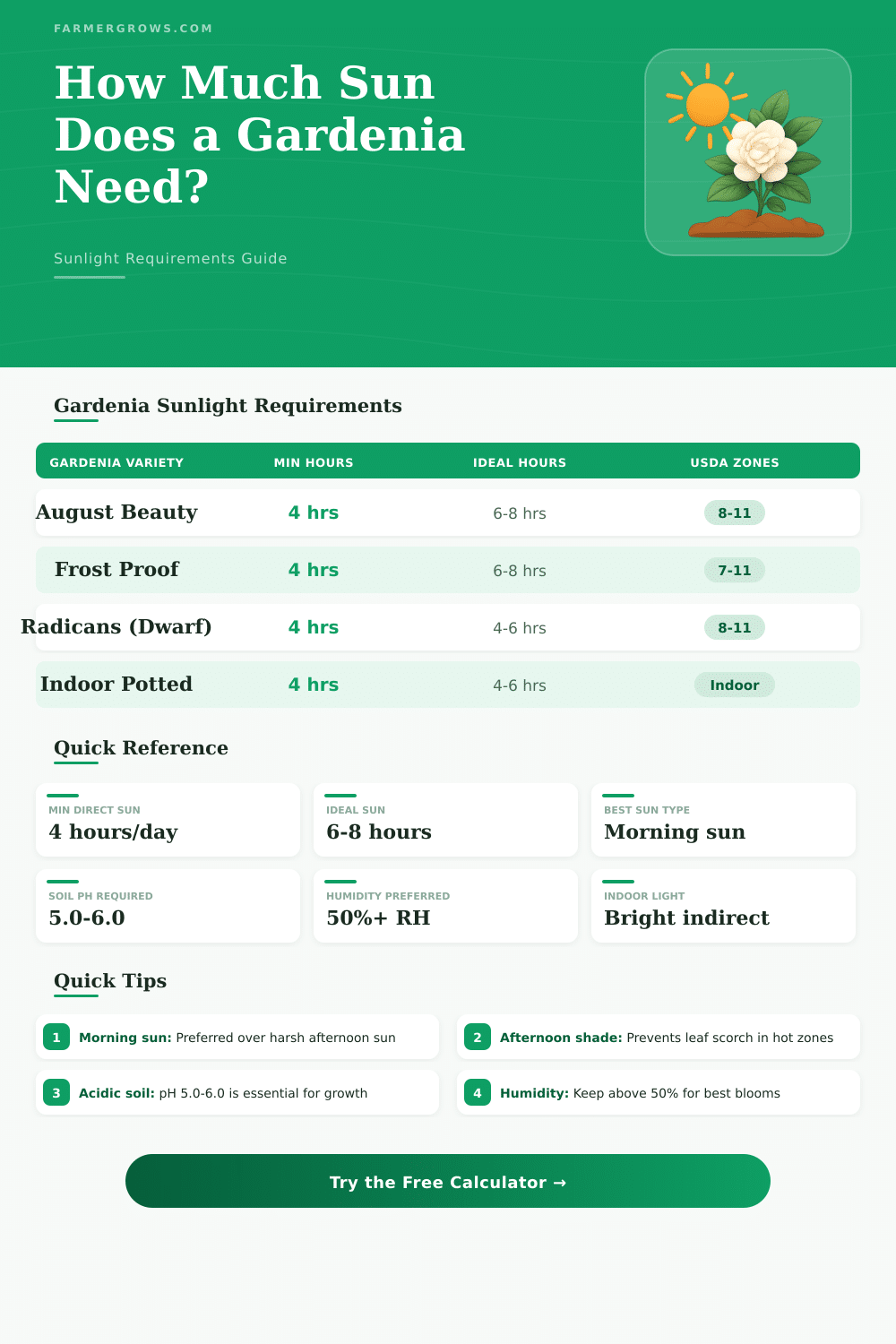 Gardenia Sunlight Calculator: How Much Sun Does Gardenia Need