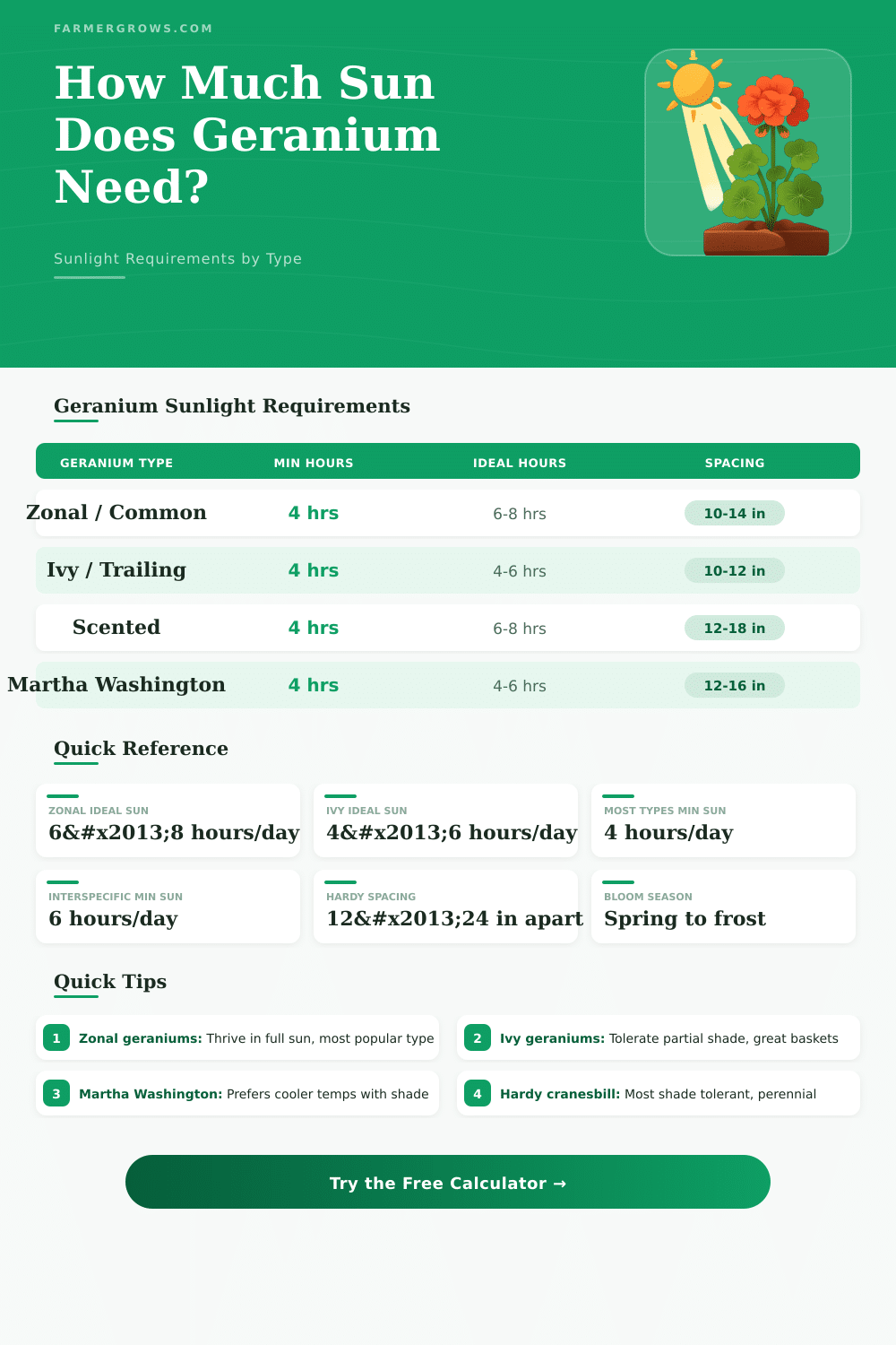 Geranium Sunlight Calculator: How Much Sun Does Geranium Need
