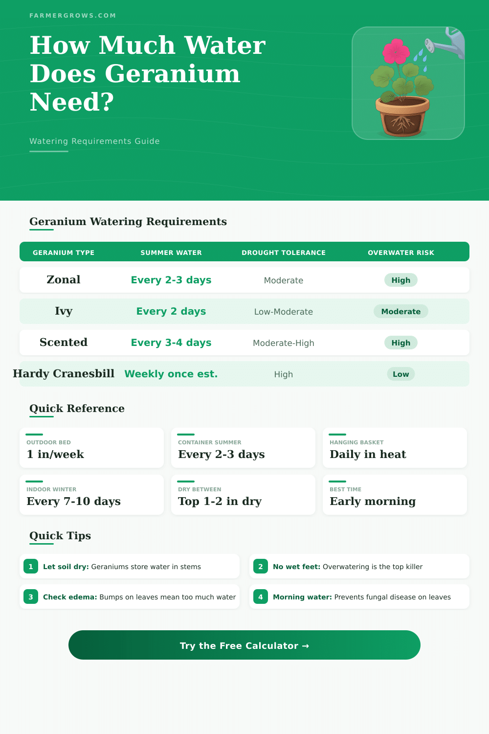 Geranium Watering Calculator: How Much Water Does Geranium Need