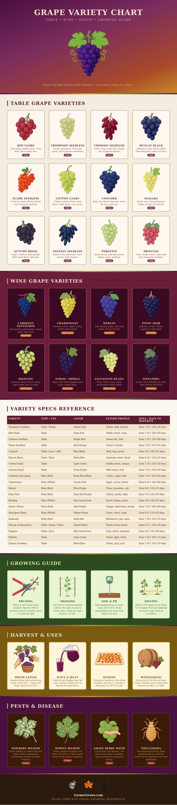 Grape Variety Chart - Farmer Grows
