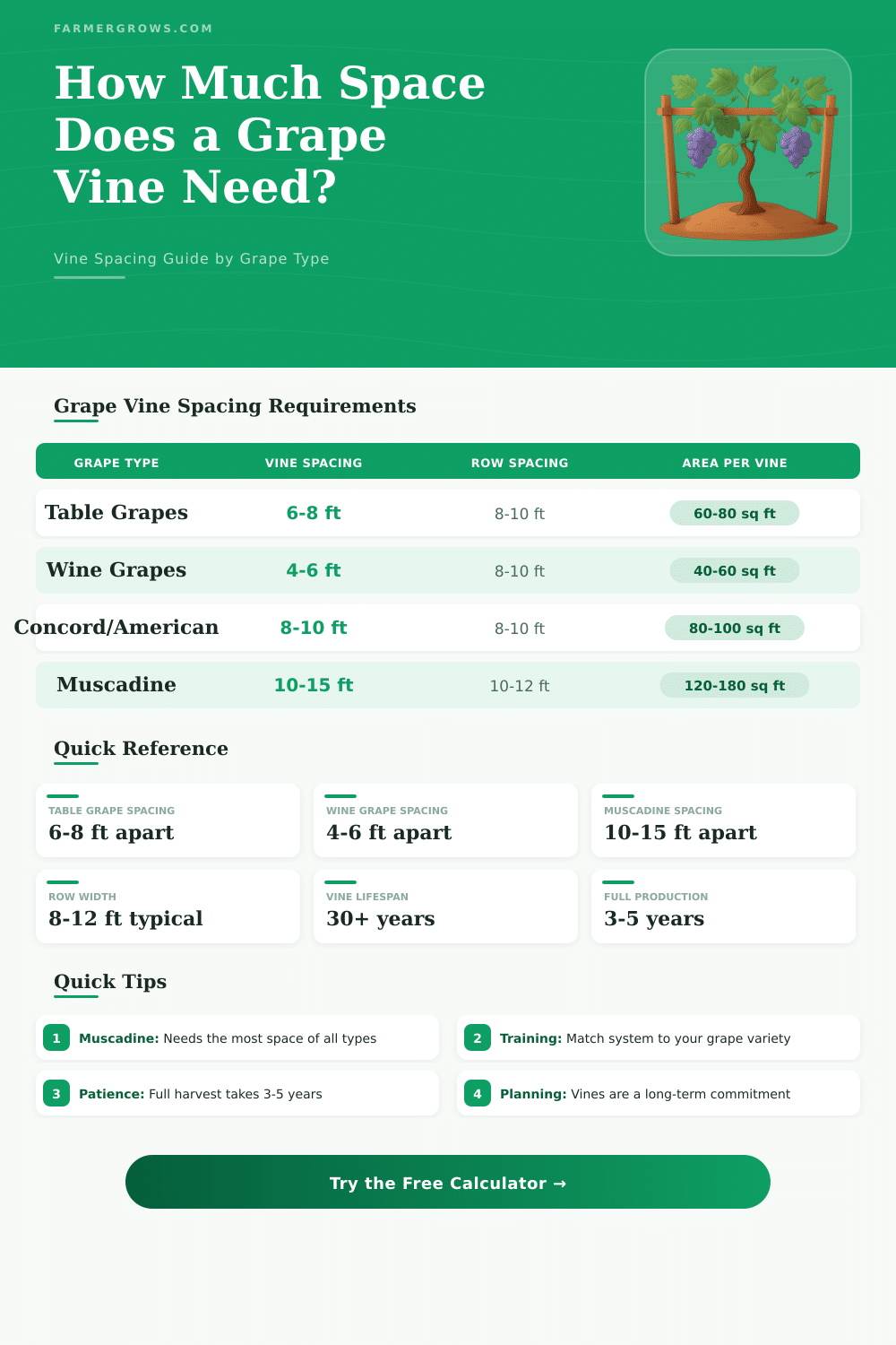 Grape Vine Spacing Calculator: How Much Space Do Grapes Need?