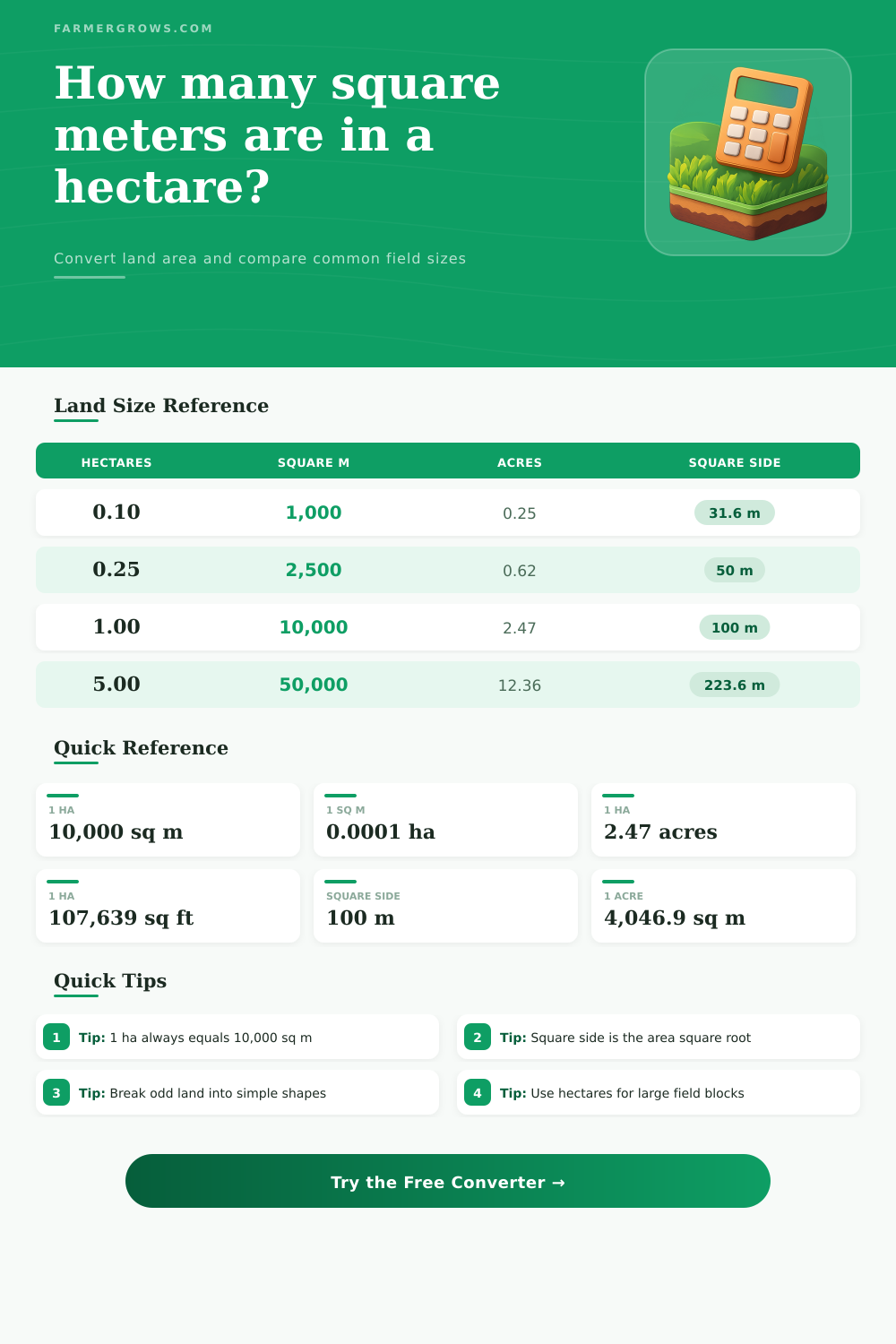Hectare to Square Meter Converter