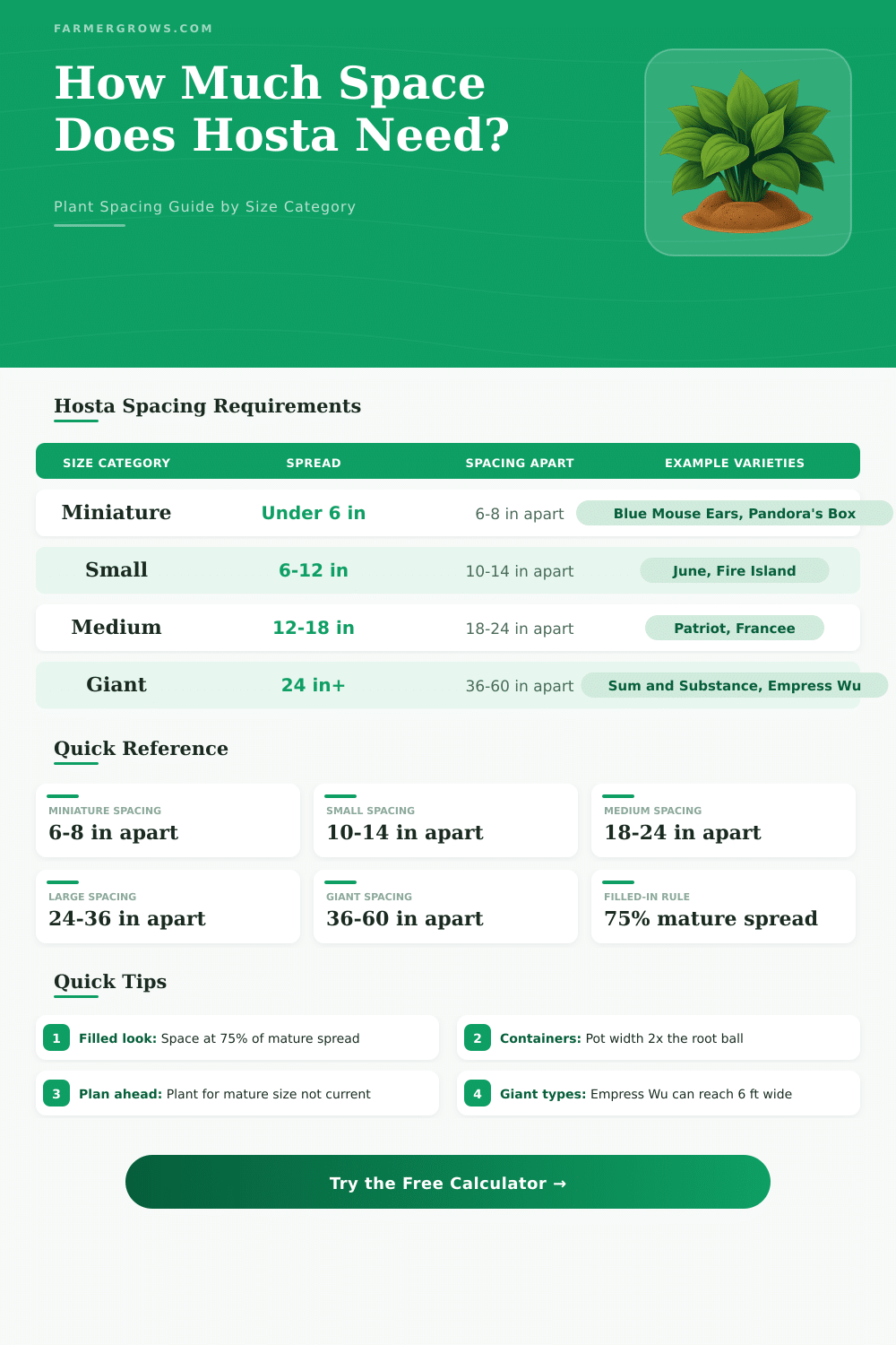 Hosta Spacing Calculator: How Much Space Does Hosta Need?