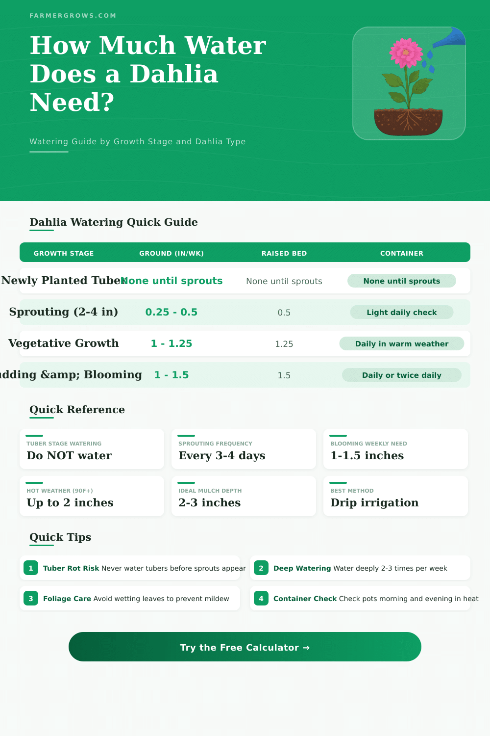 How Much Water Does a Dahlia Need? Free Watering Calculator