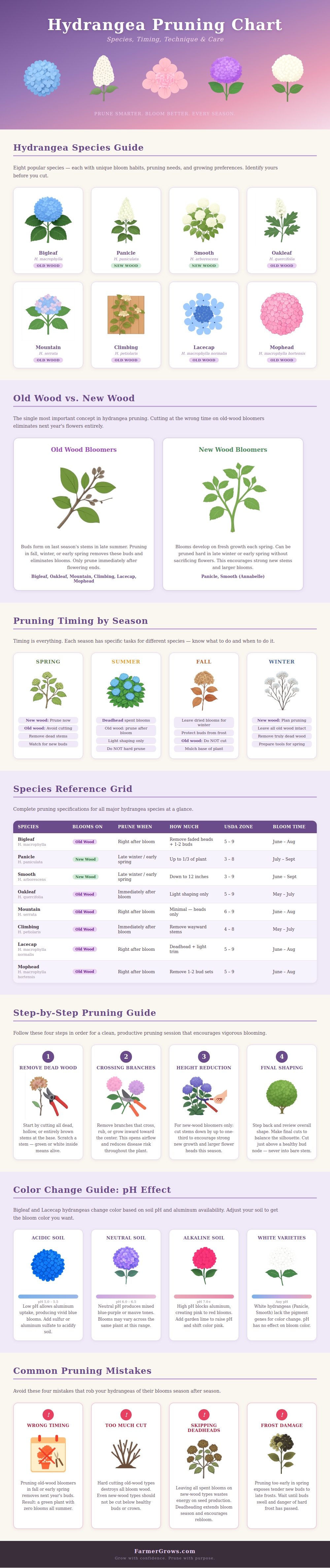 Hydrangea Pruning Chart