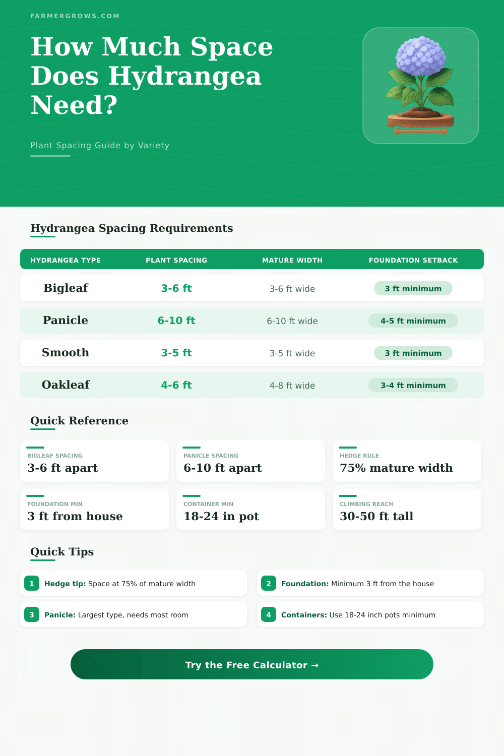 Hydrangea Spacing Calculator: How Much Space Does Hydrangea Need?