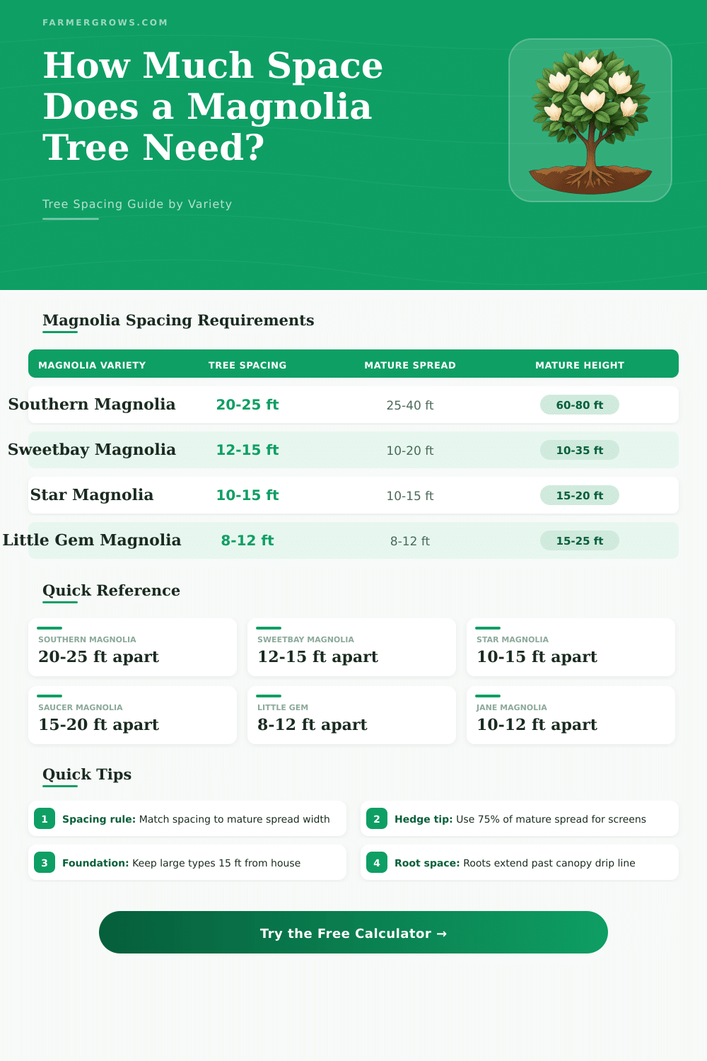 Magnolia Tree Spacing Calculator: How Much Space Needed