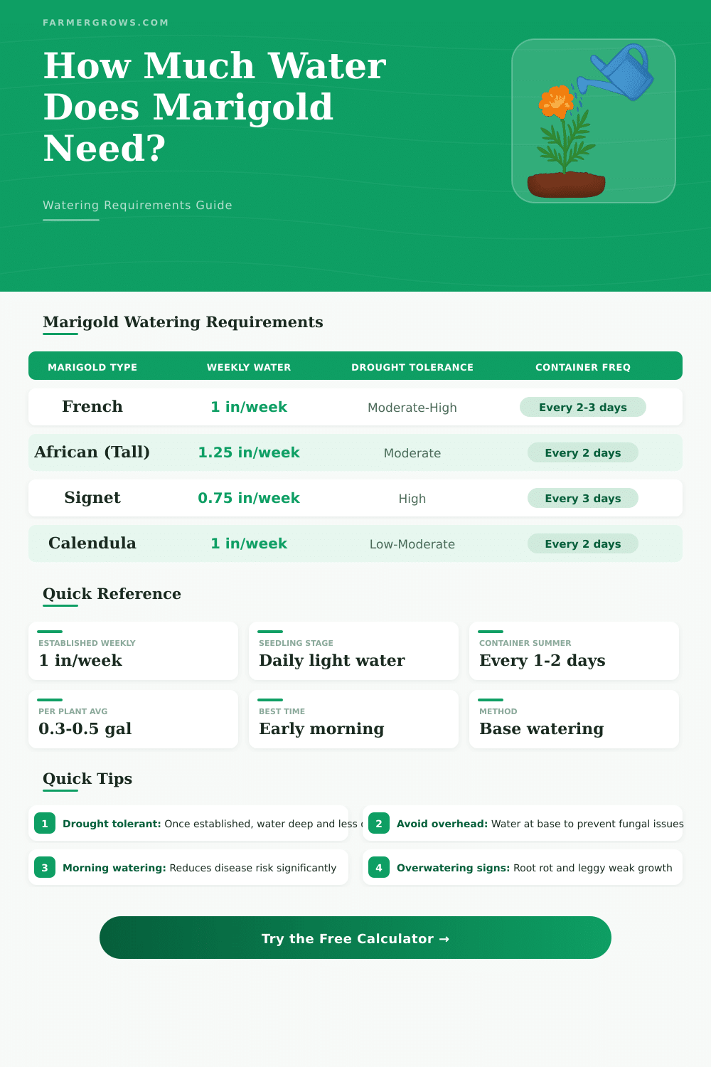 Marigold Watering Calculator: How Much Water Does Marigold Need