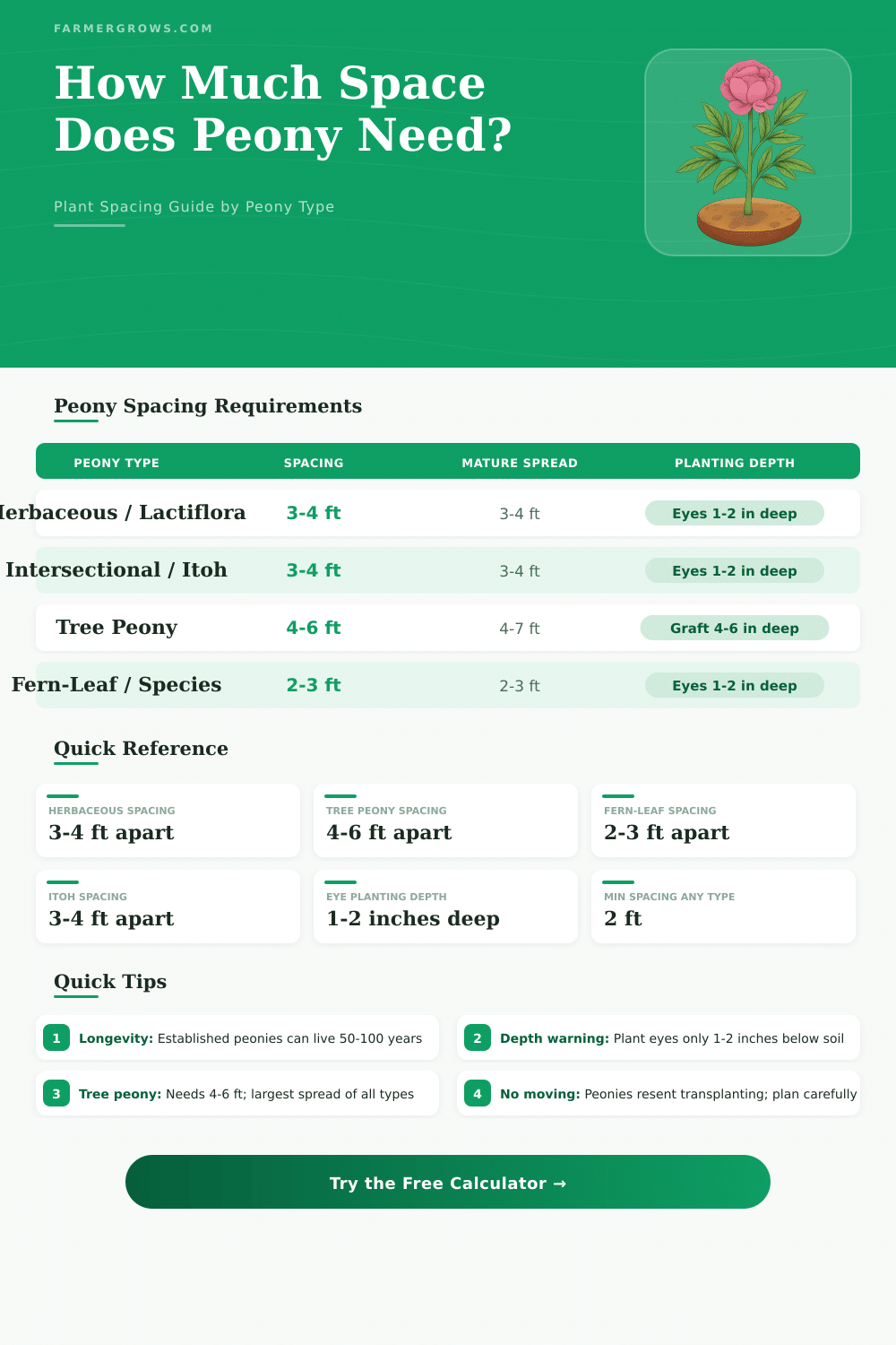 Peony Spacing Calculator: How Much Space Does Peony Need?