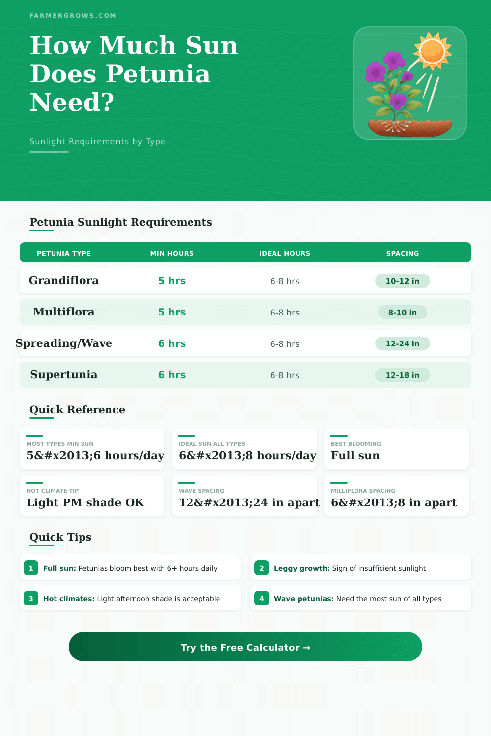 Petunia Sunlight Calculator: How Much Sun Does Petunia Need