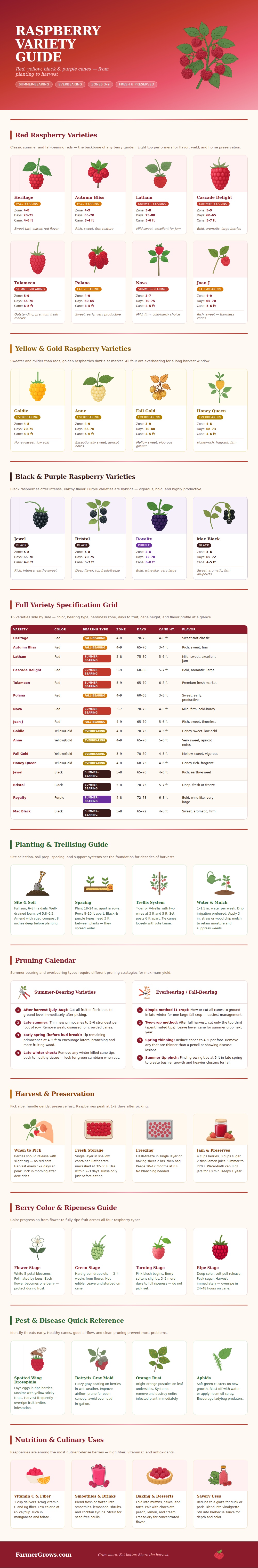 Raspberry Variety Chart