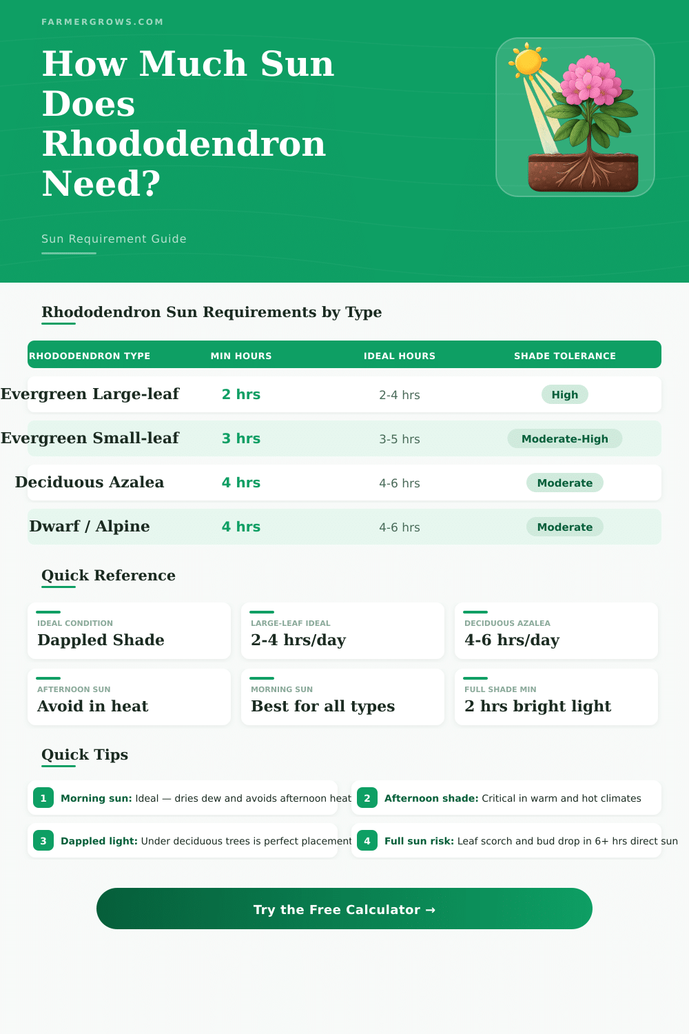 Rhododendron Sun Calculator: How Much Sun Does It Need