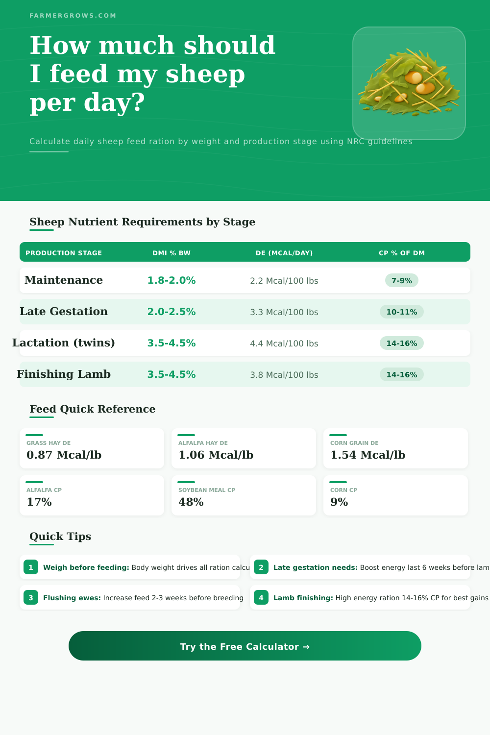 Sheep Feed Ration Calculator — Daily Requirements by Stage