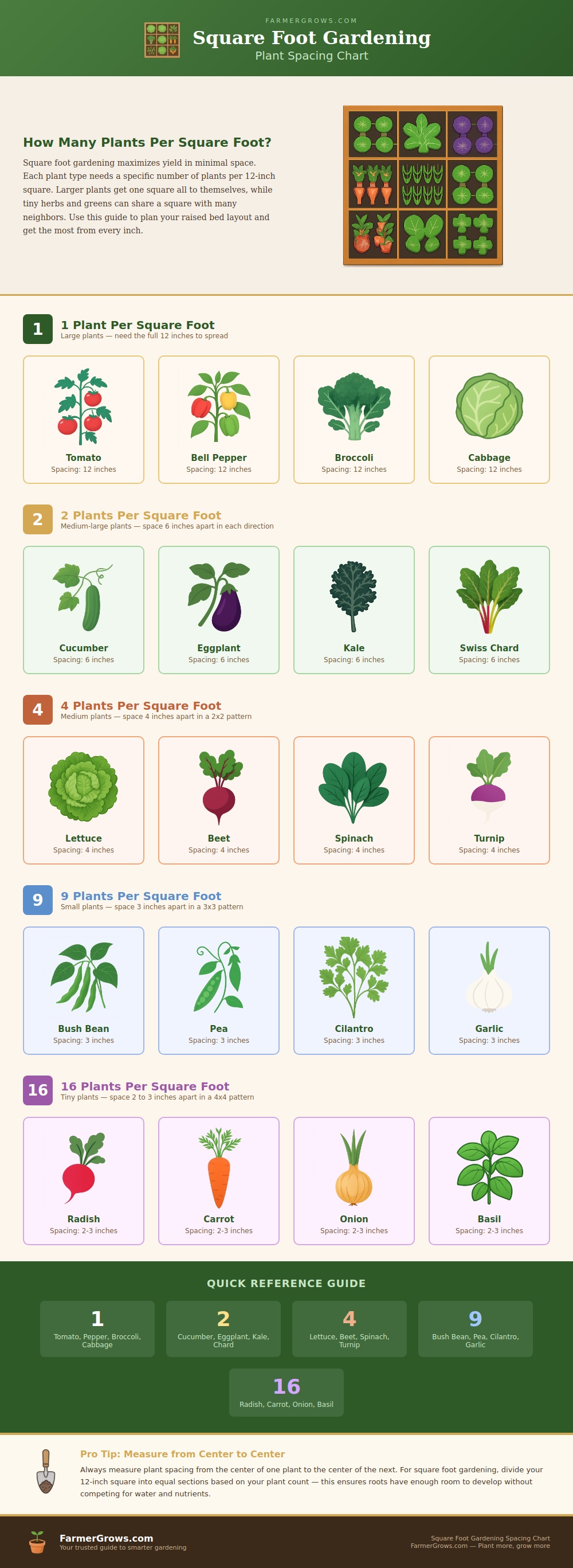 Square Foot Gardening Spacing Chart
