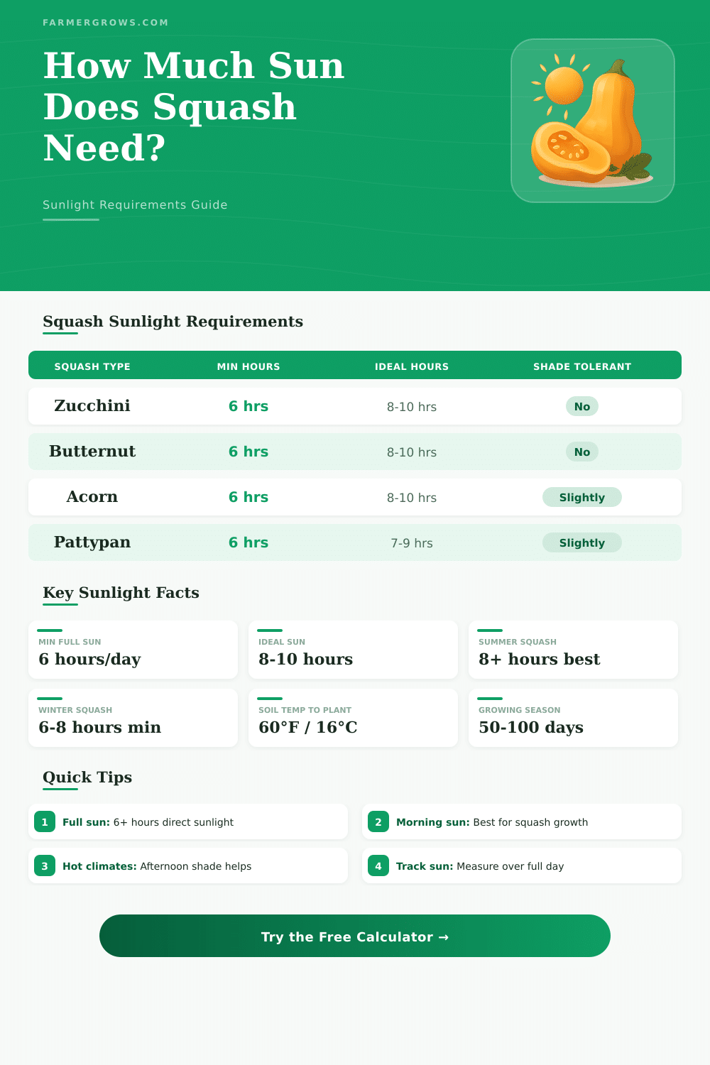 Squash Sunlight Calculator: How Much Sun Does Squash Need?