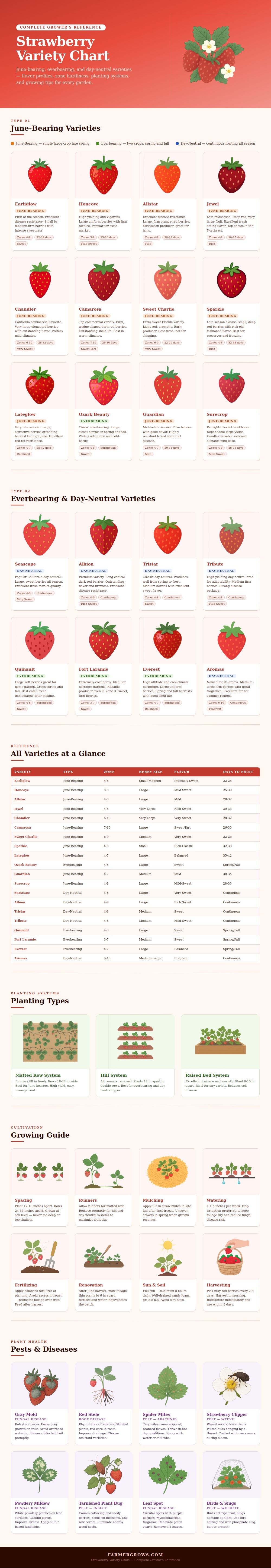 Strawberry Variety Chart