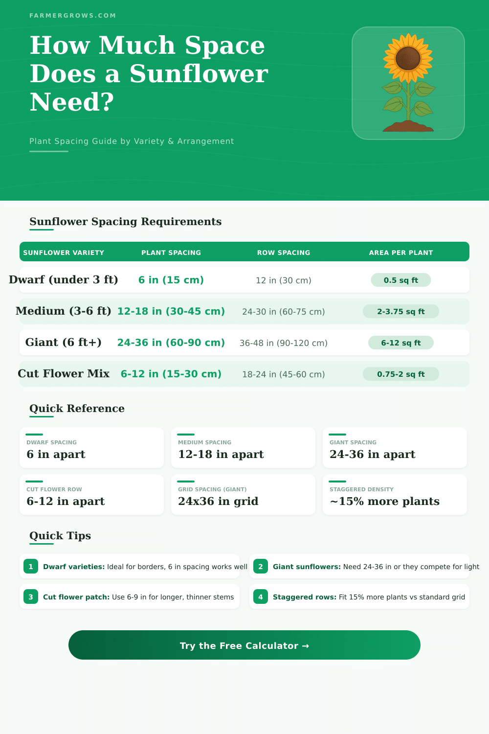 Sunflower Spacing Calculator: How Much Space Needed?