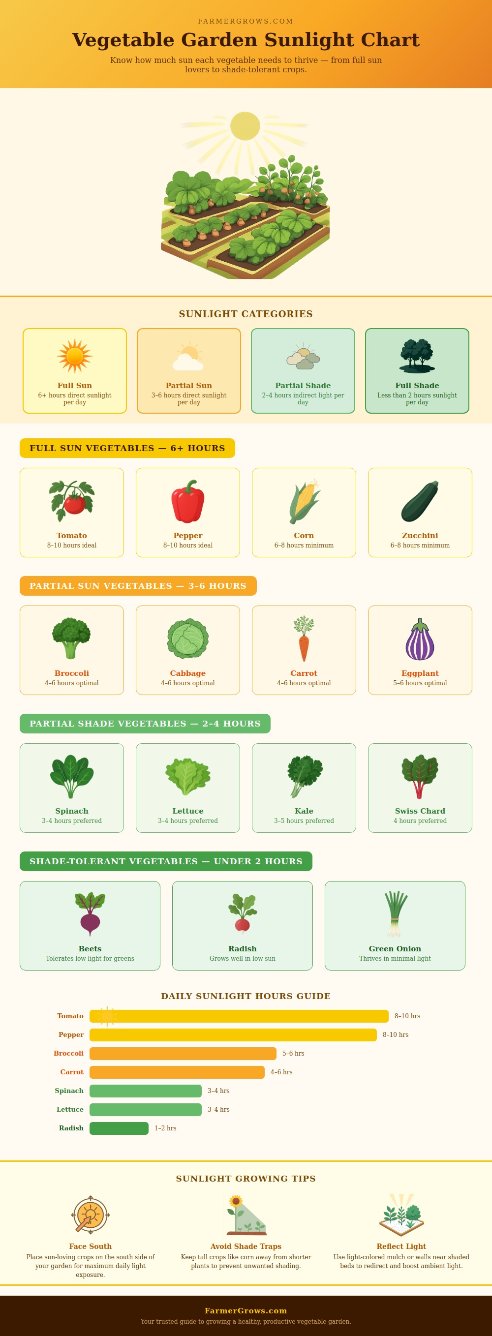 Vegetable Garden Sunlight Chart
