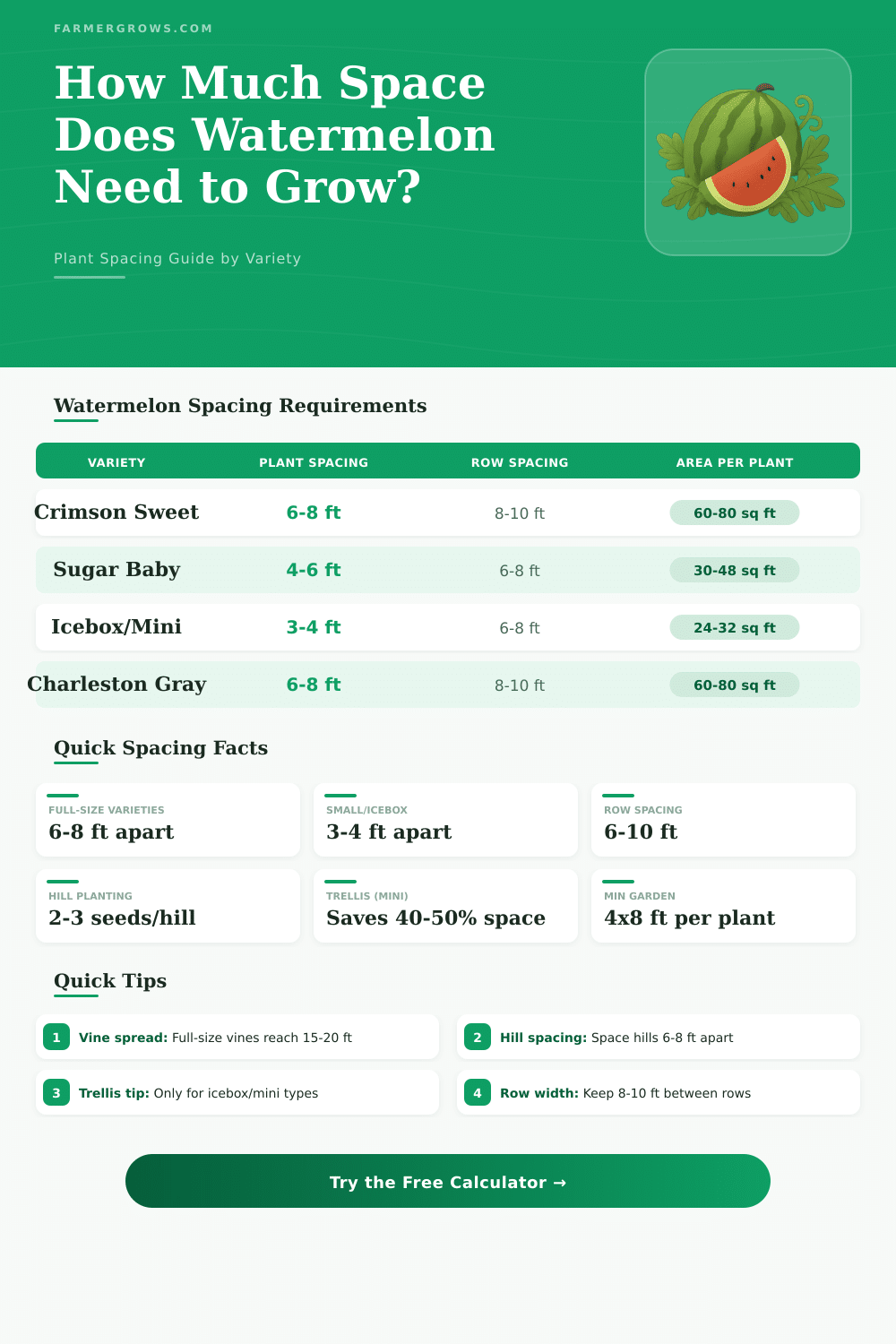 Watermelon Spacing Calculator: How Much Space to Grow?