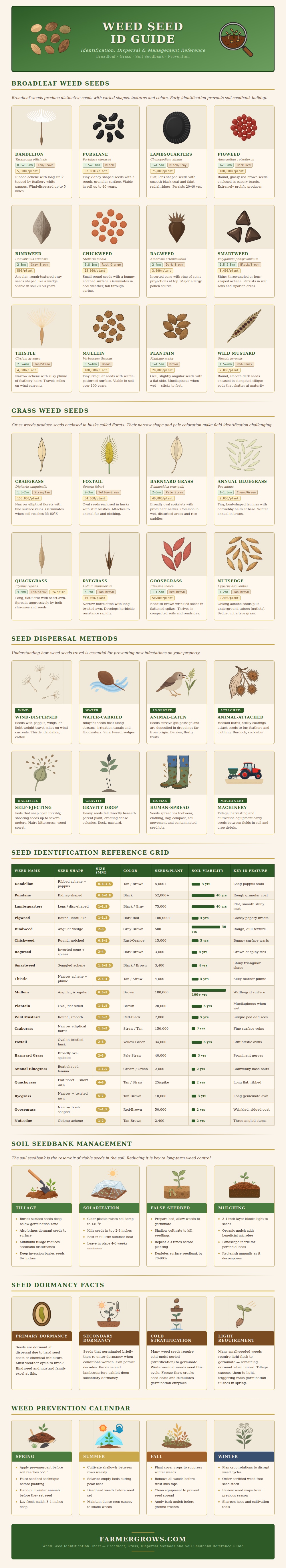 Weed Seed Identification Chart