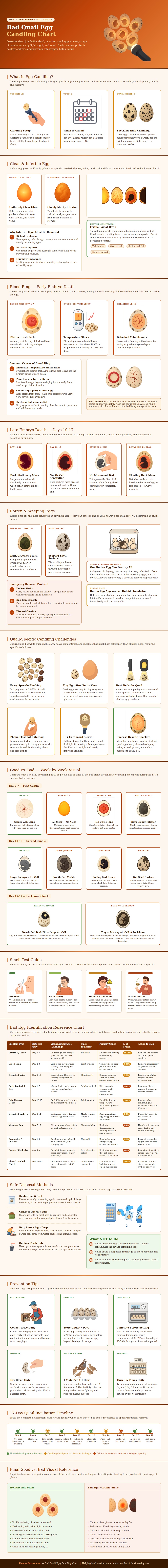 Bad Quail Egg Candling Chart