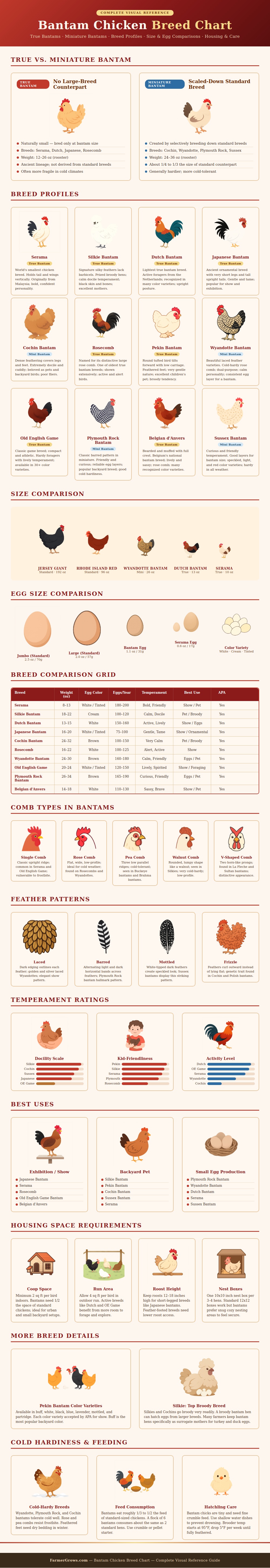 Bantam Chicken Breed Chart