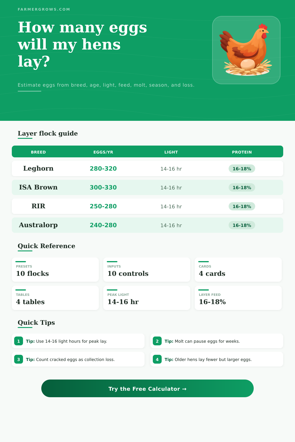 Chicken Egg Laying Calculator for Flock Production