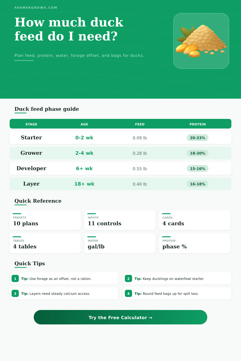 Duck Feed Calculator for Flocks, Layers, and Pekins