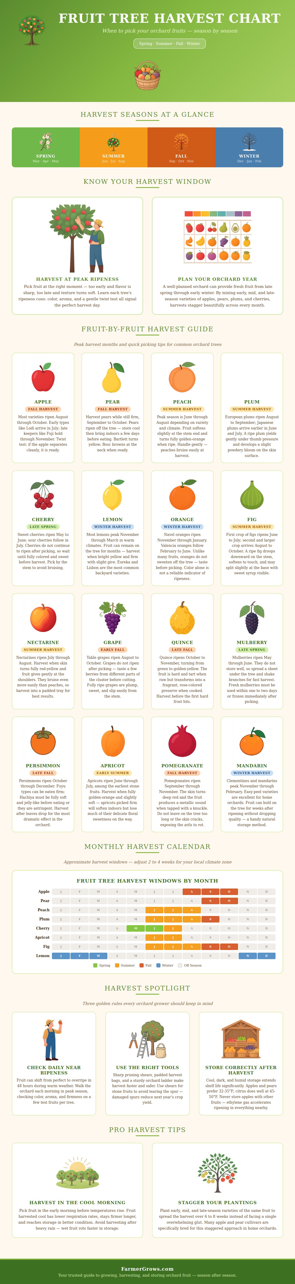 Fruit Tree Harvest Chart
