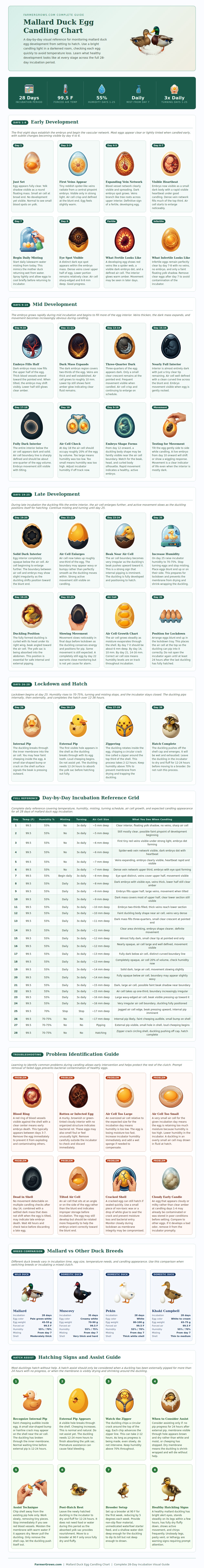 Mallard Duck Egg Candling Chart
