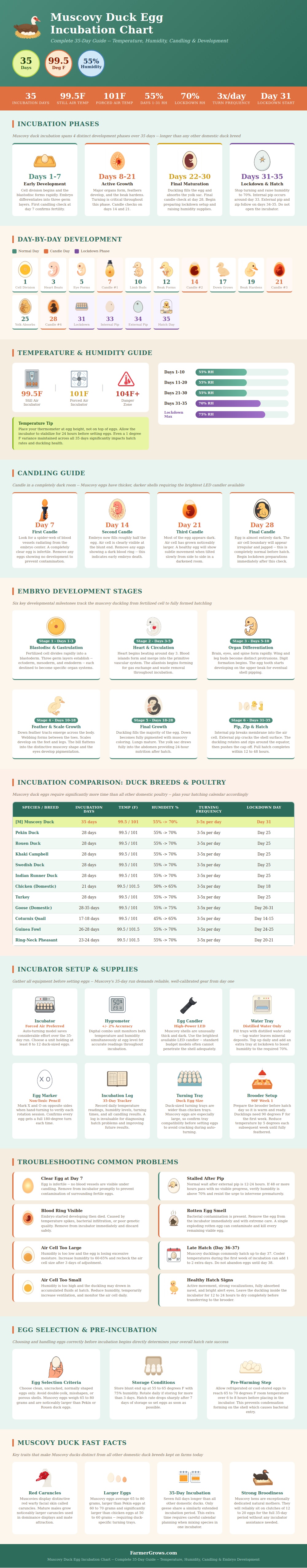 Muscovy Duck Egg Incubation Chart