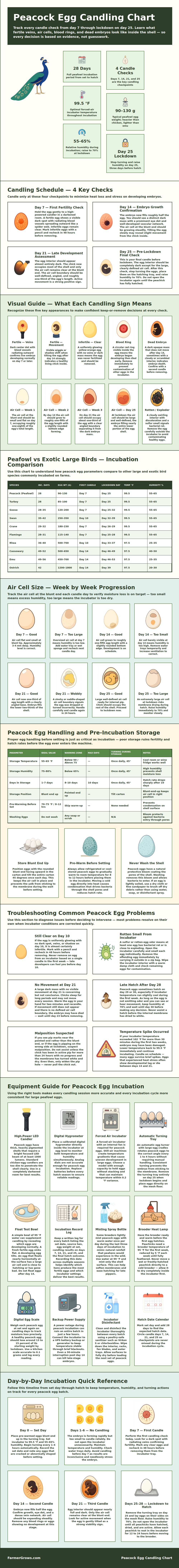 Peacock Egg Candling Chart