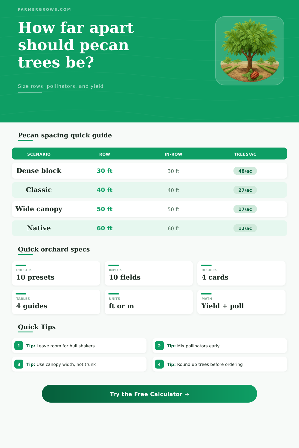 Pecan Tree Spacing Calculator for Orchard Design