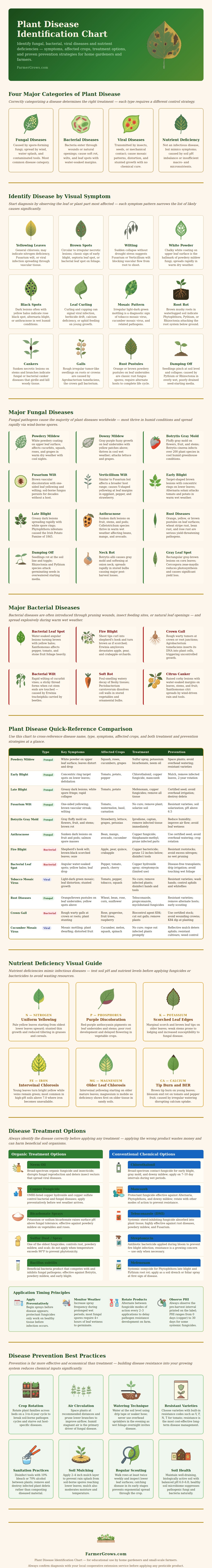 Plant Disease Identification Chart