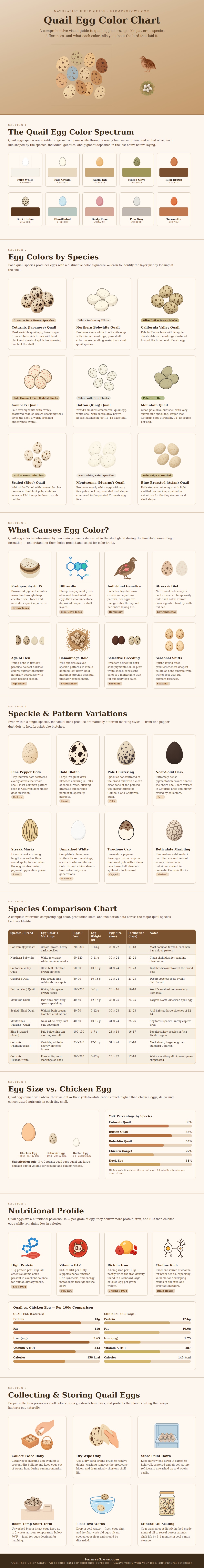 Quail Egg Color Chart