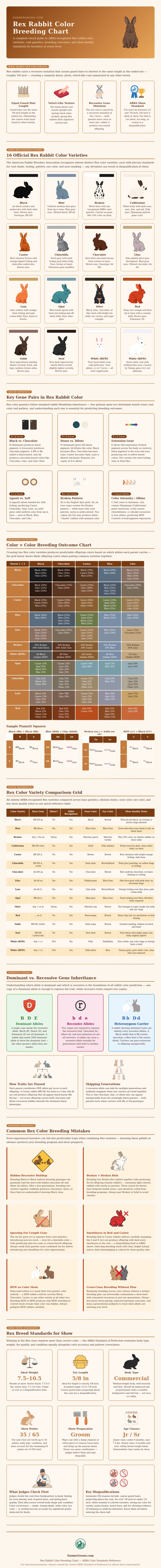 Rex Rabbit Color Breeding Chart
