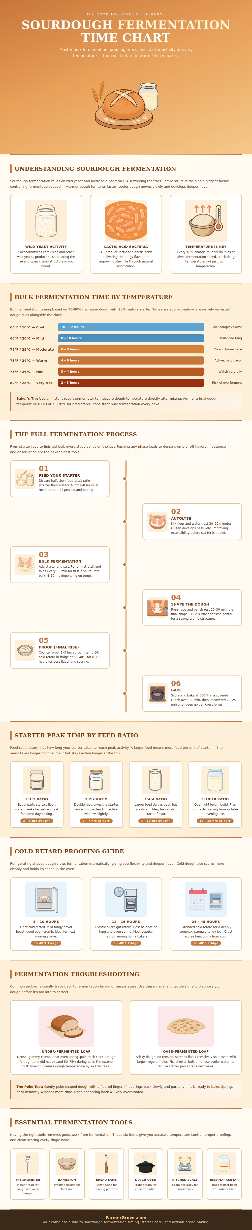 Sourdough Fermentation Time Chart