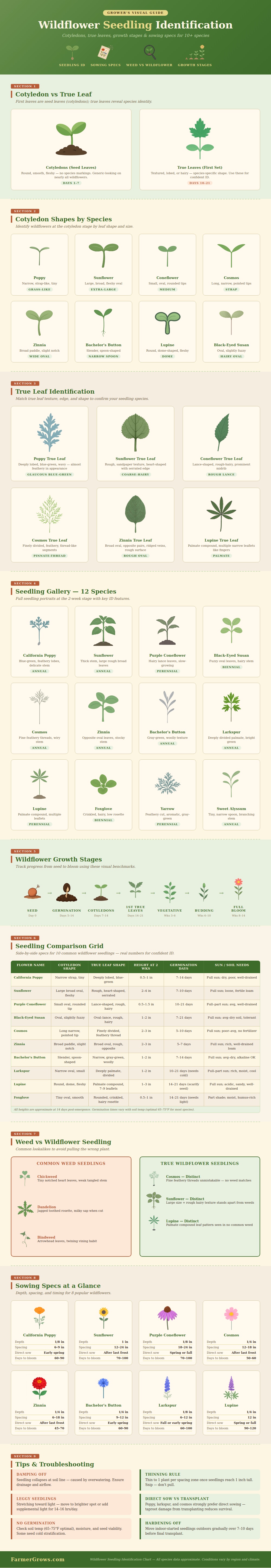 Wildflower Seedling Identification Chart