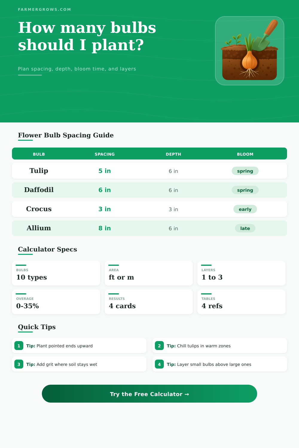 Bulb Planting Calculator for Flower Beds