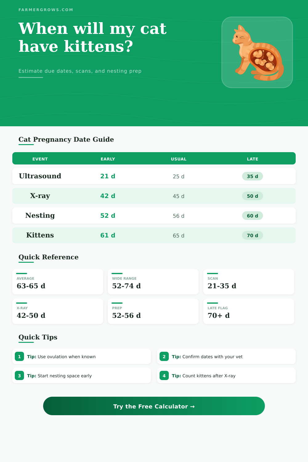 Cat Gestation Period Calculator
