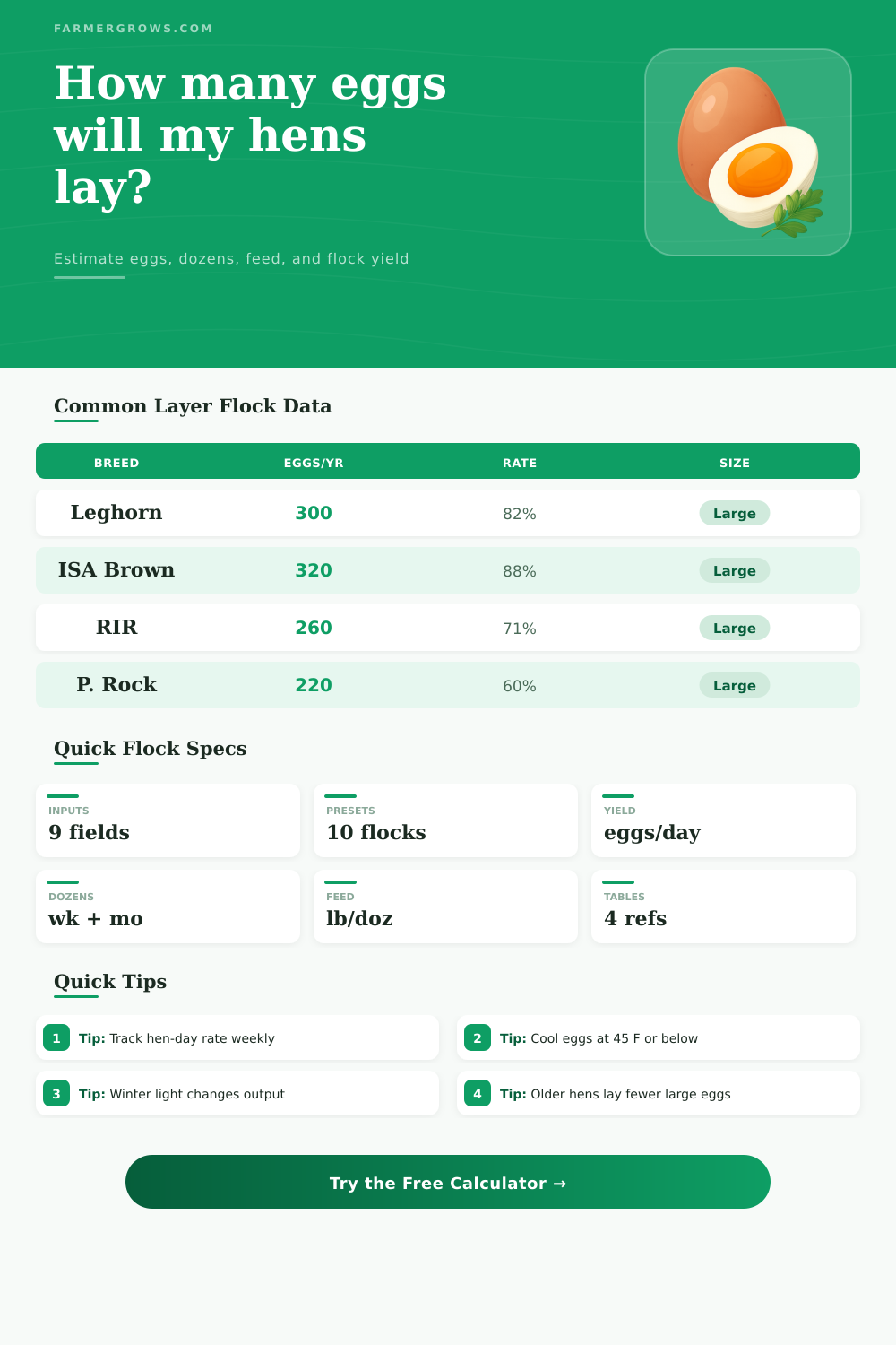 Chicken Egg Calculator for Flock Production