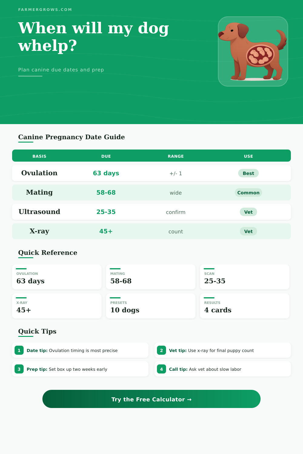 Dog Gestation Period Calculator