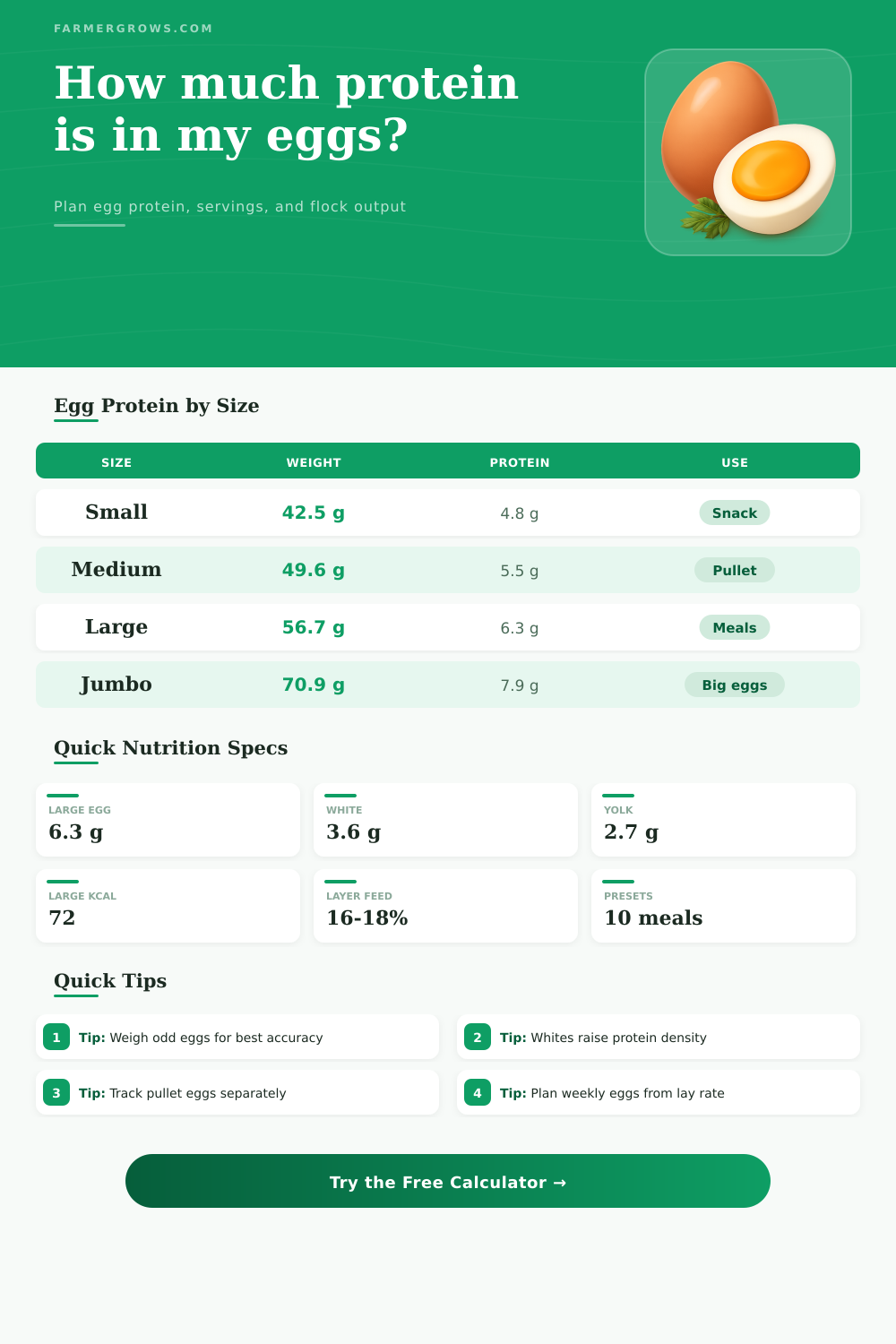 Egg Protein Calculator for Farm Fresh Meals