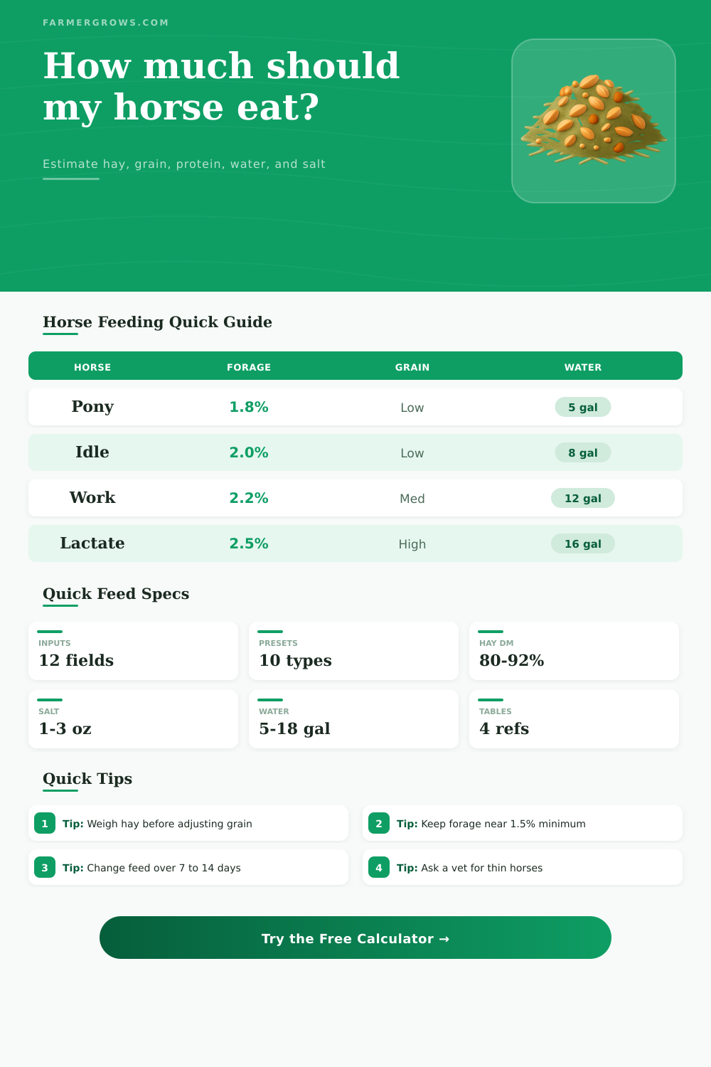 Horse Feed Calculator for Hay and Grain